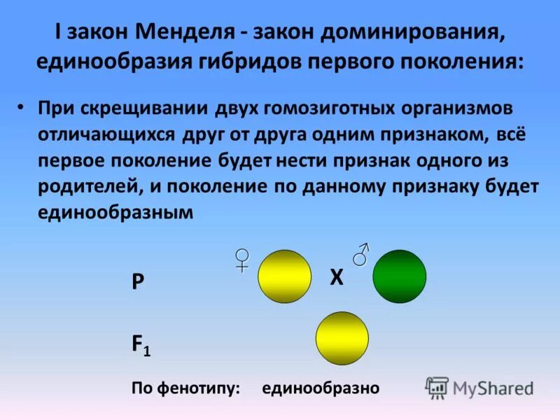 При моногибридном скрещивании учитывается