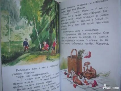 Катаев грибы картинки