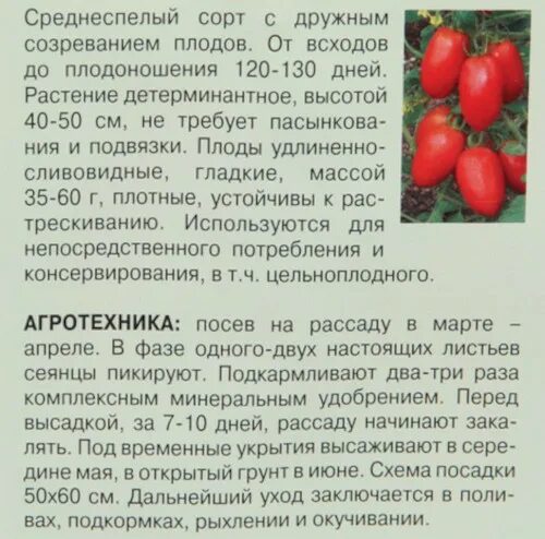 Какой сорт помидоров лучше сажать. Лучшие сорта томатов для теплиц в ленинградской области. помидоры для ленинградской области лучшие сорта. томаты для ленинградской области сорта для теплиц. лучшие сорта томатов для ленинградской области.