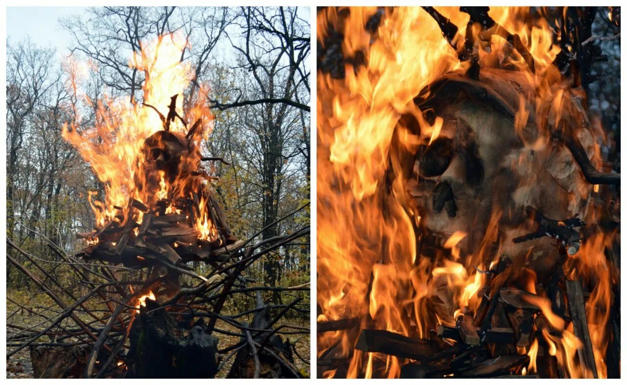 Сожженное дерево. Сожжение дерева. Горелое дерево. Сжигание дерева.