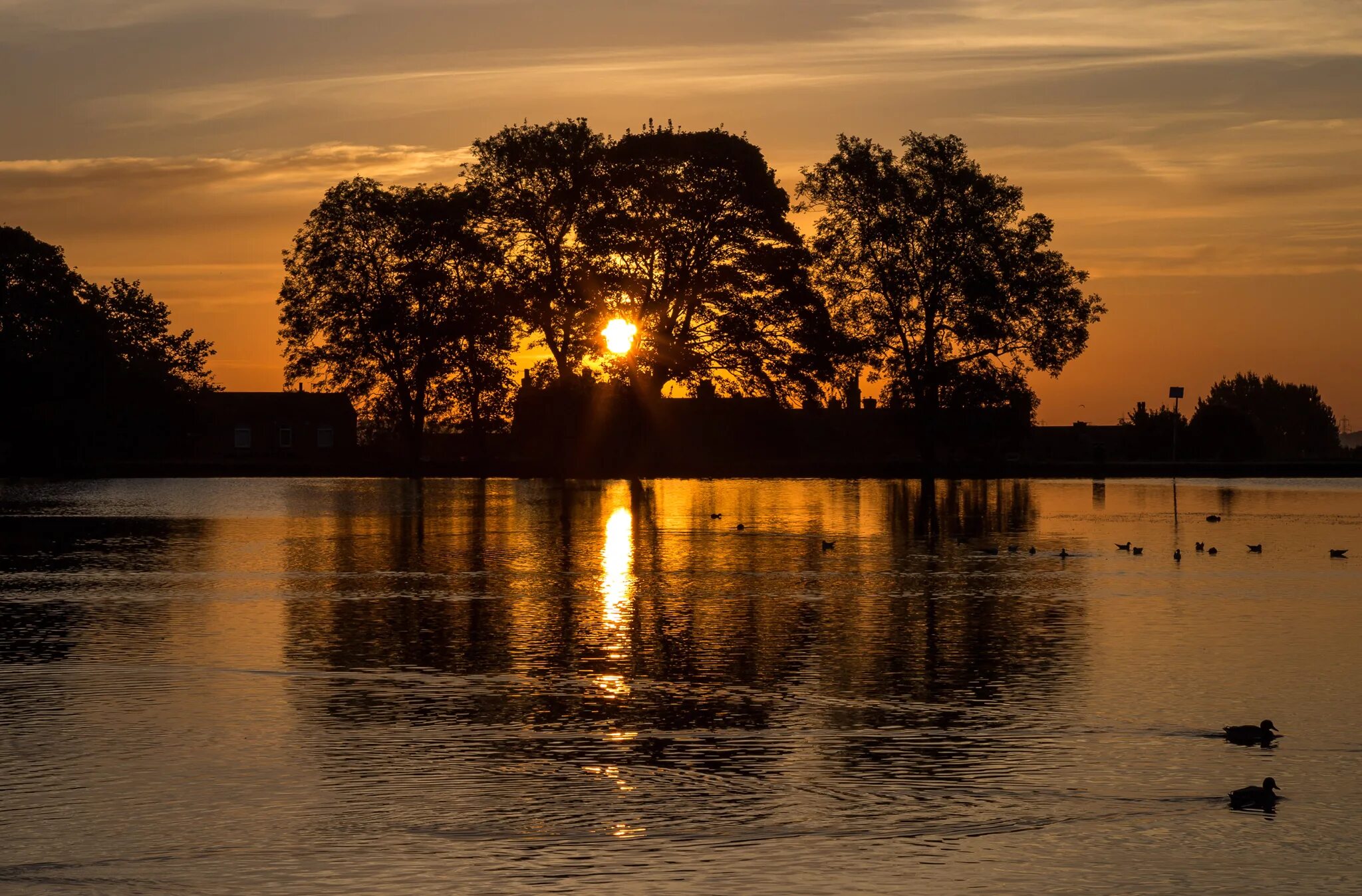 Озеро в деревне. Вечер пруд. Розоватый пруд вечером. Пруд ночью. Вечер пруд.