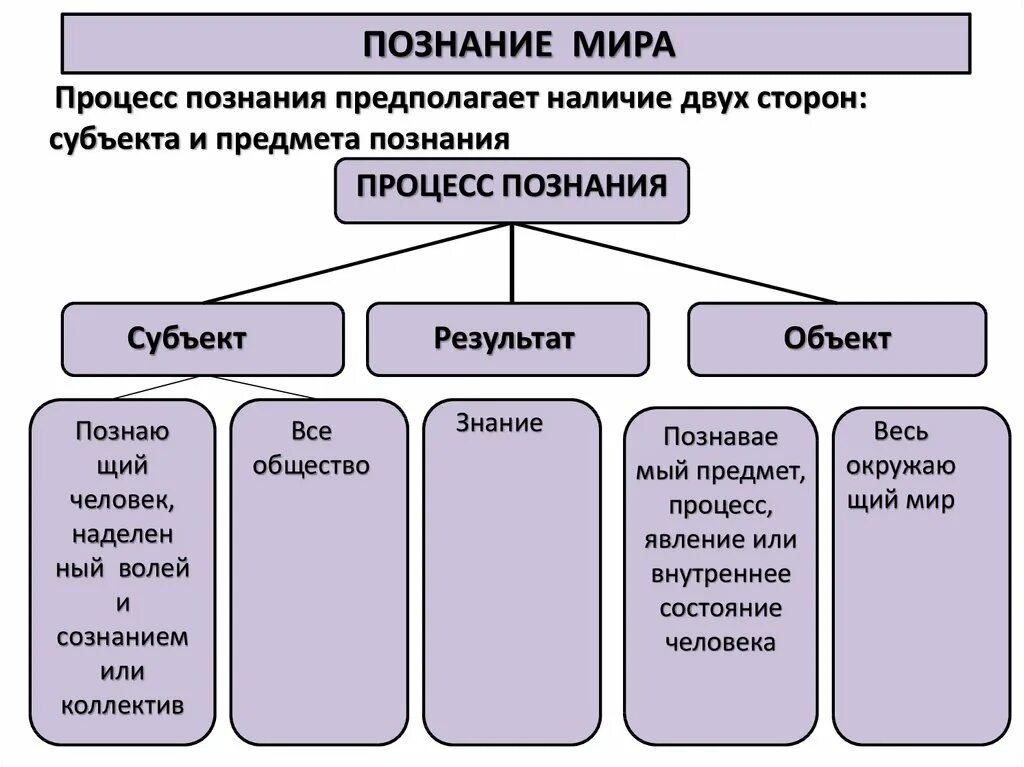 Обществознание 6 класс что является целью познания. Процесс познания обществознание.