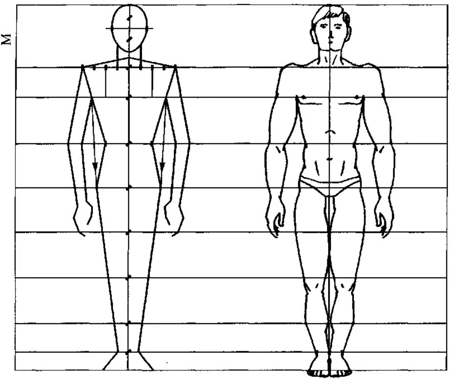 Зоны жизни человека сравниваем моделируем. Пропорции тела человека схема. Схема пропорций фигуры человека. Пропорции человека в полный рост схема. Построение фигуры человека поэтапно пропорции.