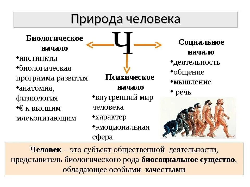 Человек индивид личности определение. Формирование личности индивид личность индивидуальность. Понятие человек индивид личность. Понятие индивида и личность таблица. Человек индивид личность Обществознание.