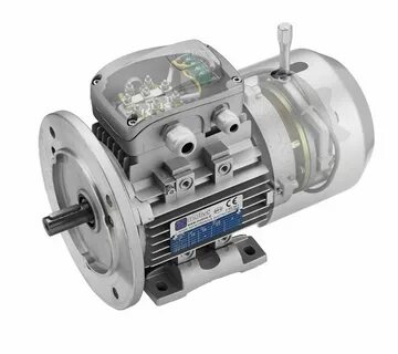 Induction motor
