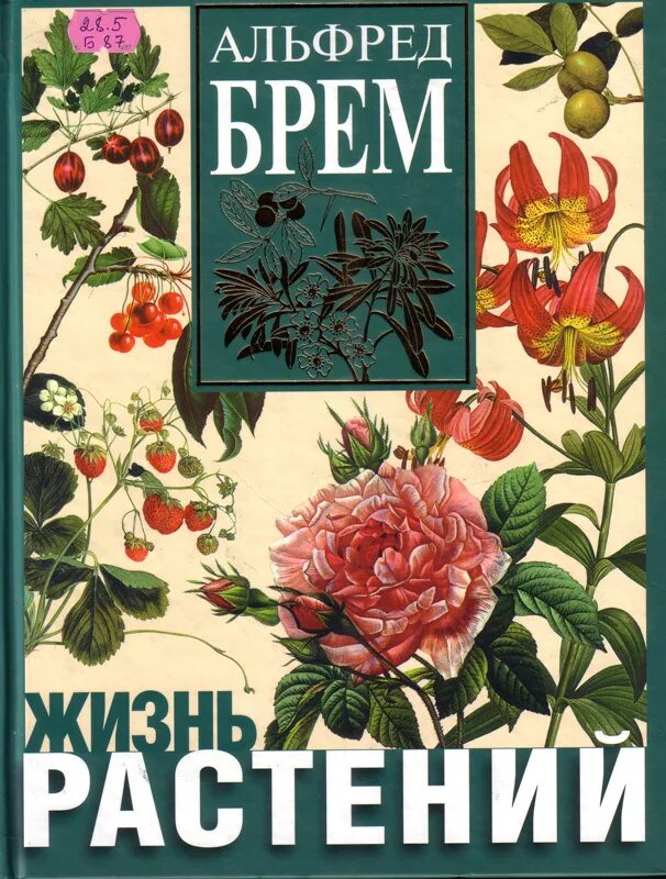 Книга цветок жизни тайны жизни. Брем жизнь растений. Жизнь растений книга.