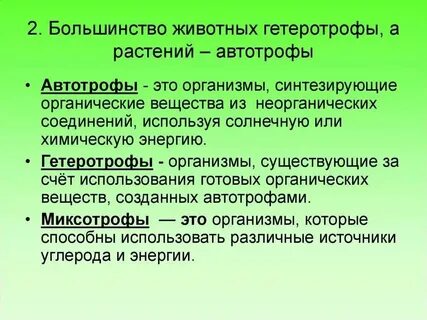 Назовите автотрофный организм