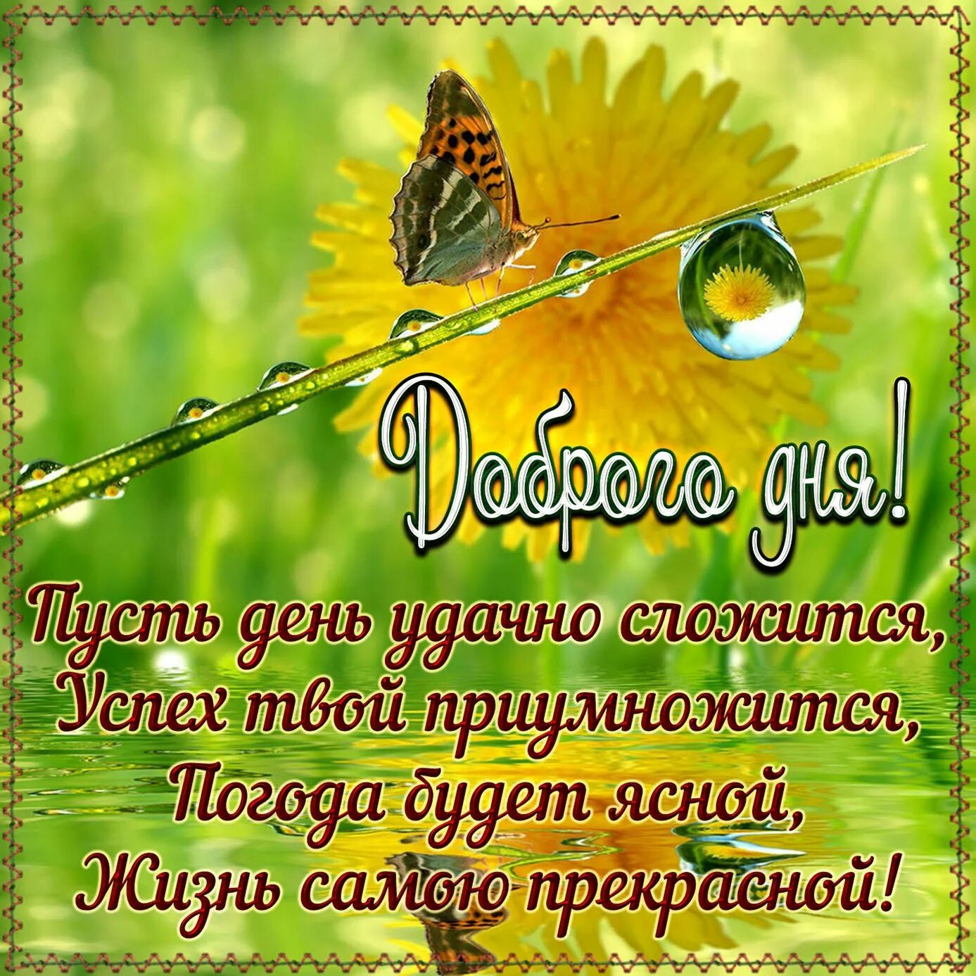 Солнца ясного утра прекрасного дня. Хорошего дня и отличного настроения. солнечного утра и хорошего настроения. солнечного дня и хорошего настроения. солнечного летнего настроения.