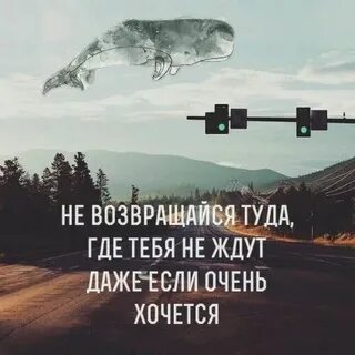 Там где цитаты