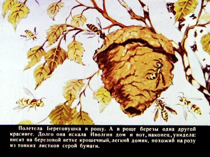 Видишь висит. Кроссовки висят на проводах. На проводах. Женское белье на веревке. Видишь висит.