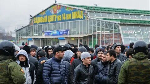 Рынок мигрантов