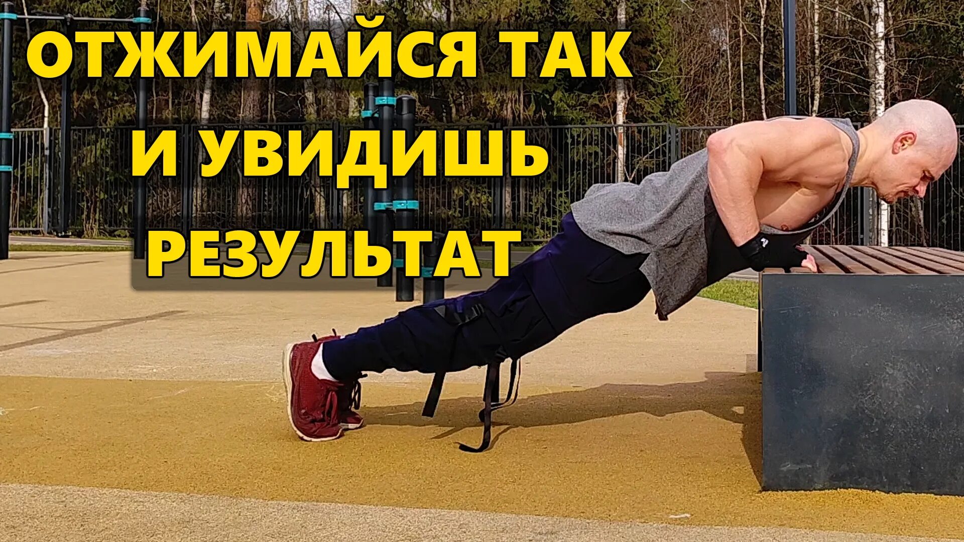 отжиматься 100 раз в день. отжимания 100 раз в день результат. что если отжиматься каждый день. отжимания от пола. 50 отжиманий каждый день.