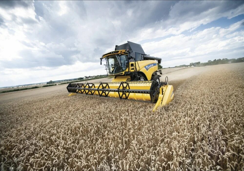 Каталог new holland. New Holland СХ8.80. Нью Холланд СХ 8.80. Комбайн New Holland CX 8.80. Комбайн New Holland CX.