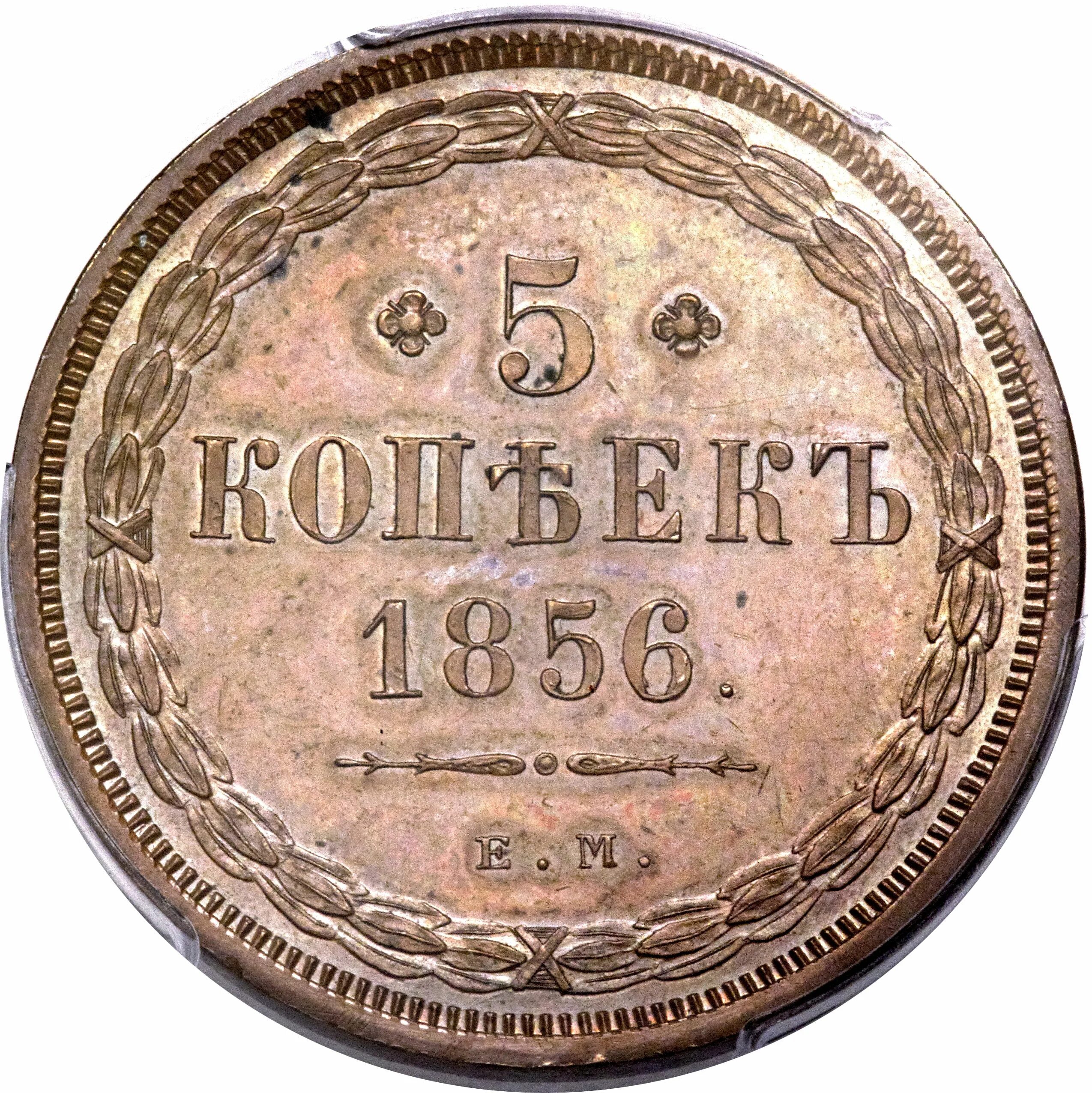 Стоит 5 коп. 5 копеек 1856. медная монета 1856 года. монета александр 2 1856 года. 5 копеек 1856 года.