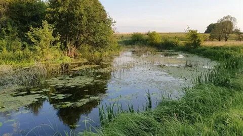 Погода в речках