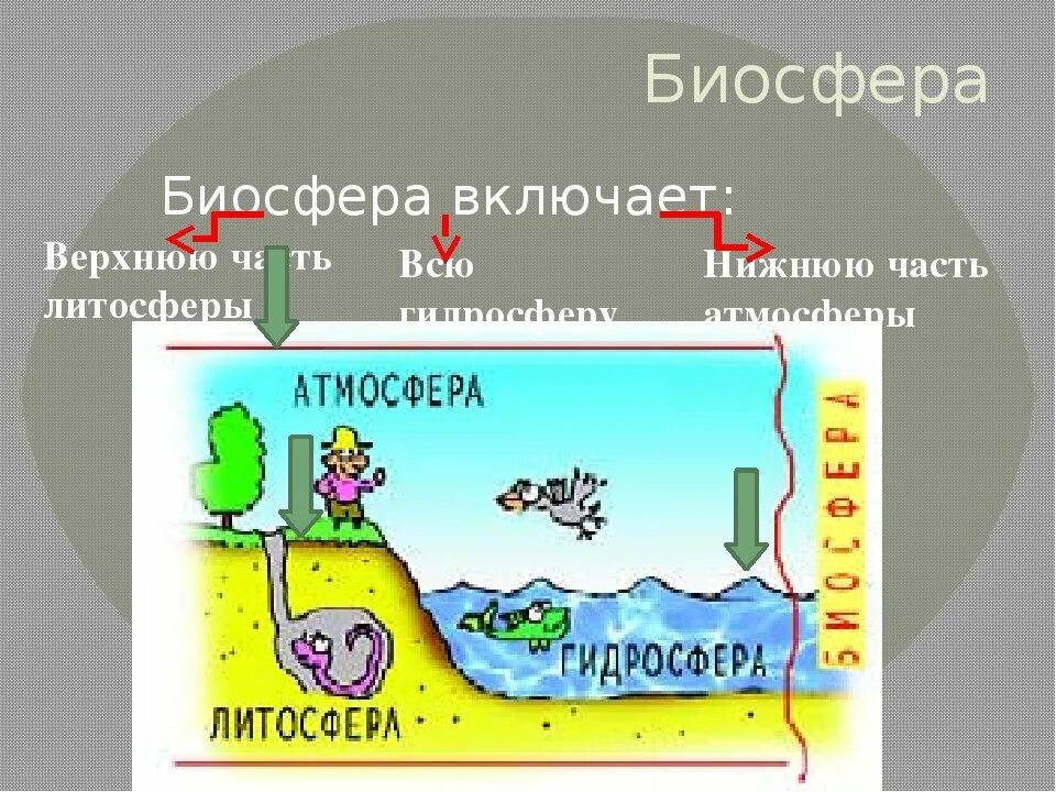 Рисунок на тему человек часть биосферы. Биосфера. Биосфера рисунок. Биосфера и человек. Биосфера схема.