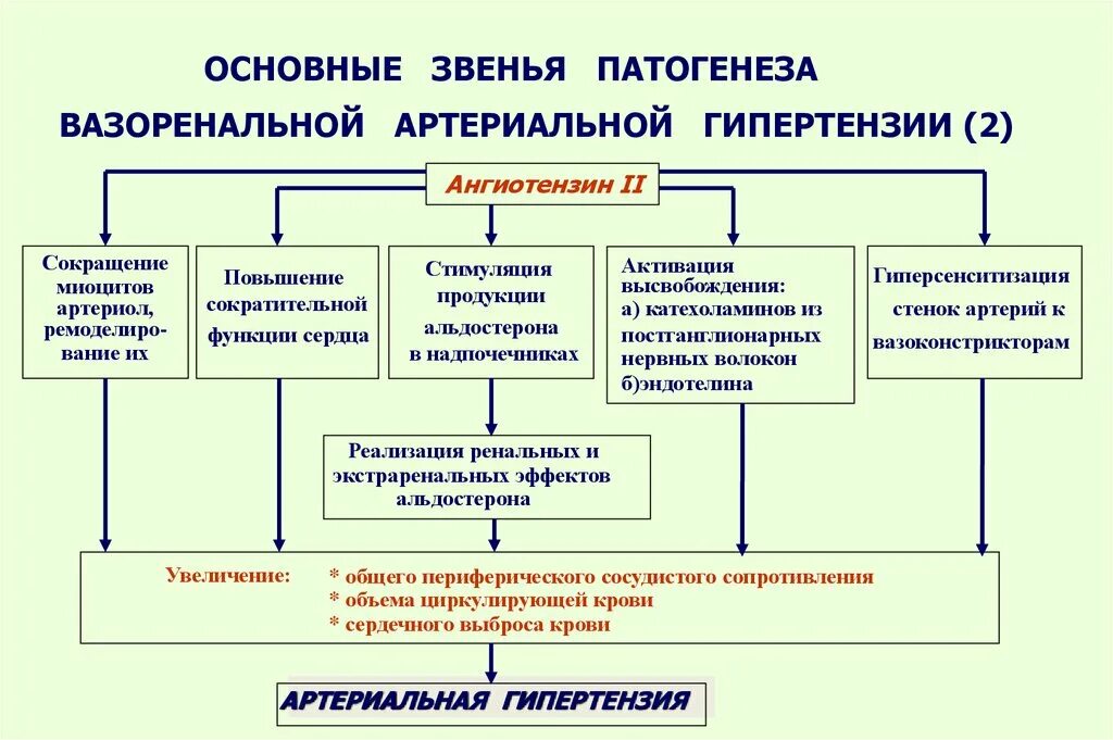 Развитие гипертензии. Механизмы развития артериальной гипертензии патофизиология. вазоренальная артериальная гипертензия патогенез. этиология вазоренальной гипертензии. патогенез вазоренальной аг.