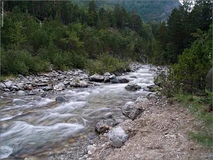 Аршан вода