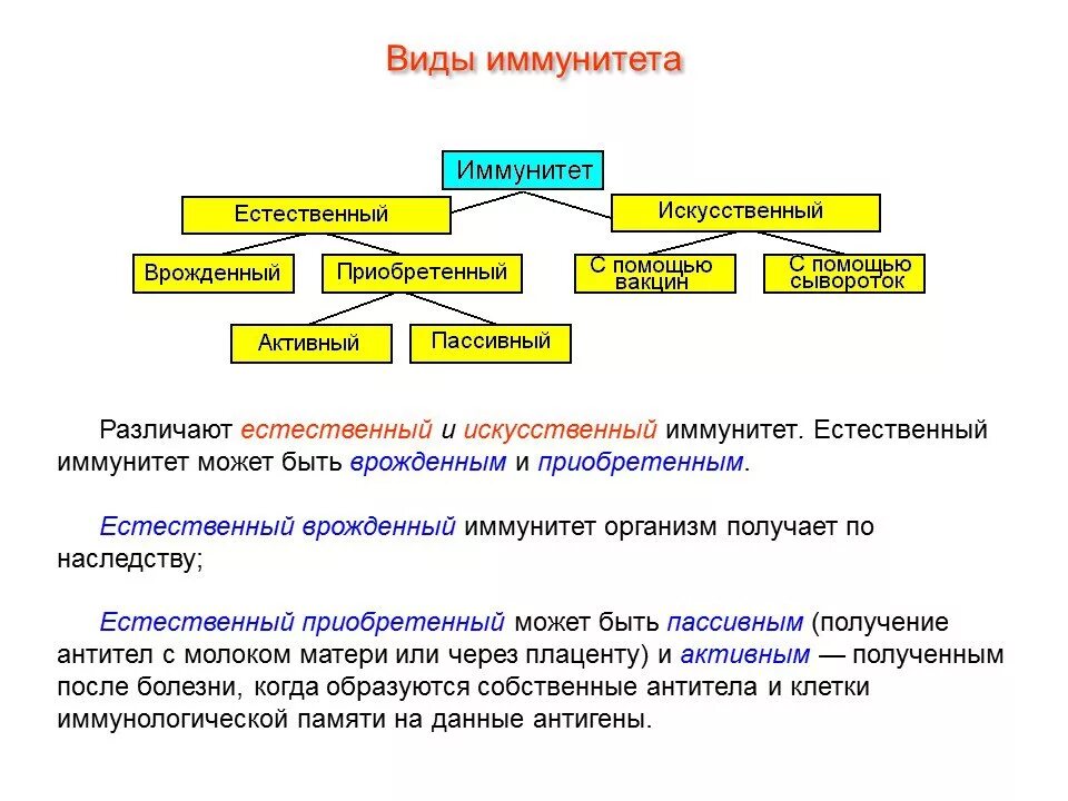 Иммунитет виды иммунитета естественный искусственный. Виды врожденного иммунитета и приобретенного иммунитета. Типы искусственного иммунитета. Таблица виды иммунитета естественный и искусственный.