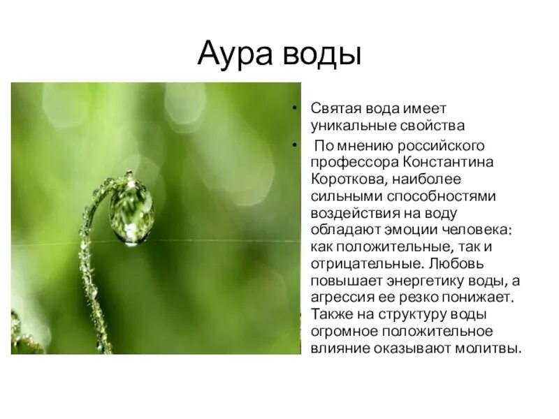 Священные свойства. Святая вода на крещение. Святая вода свойства. Свойства запахов человека. Апофатический и катафатический.