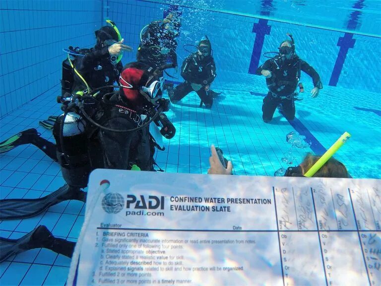 Padi open. Пади опен Ватер дайвер. Open Water Diver сертификат. Padi OWD сертификат. Сертификат Пади дайвинг.