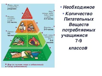 Здоровое питание проект начальная школа