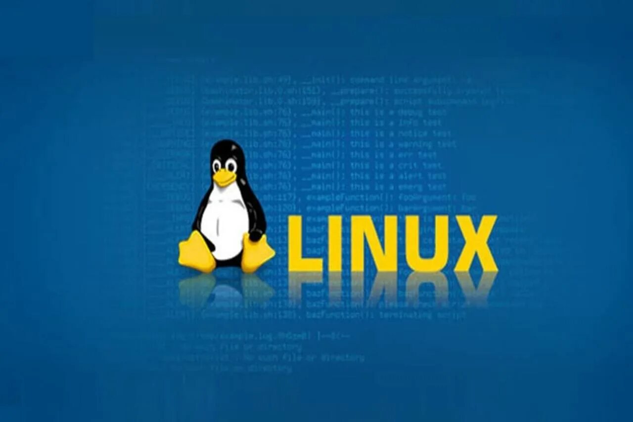 Linux shell. Линукс шелл. linux shell avatar. naint.