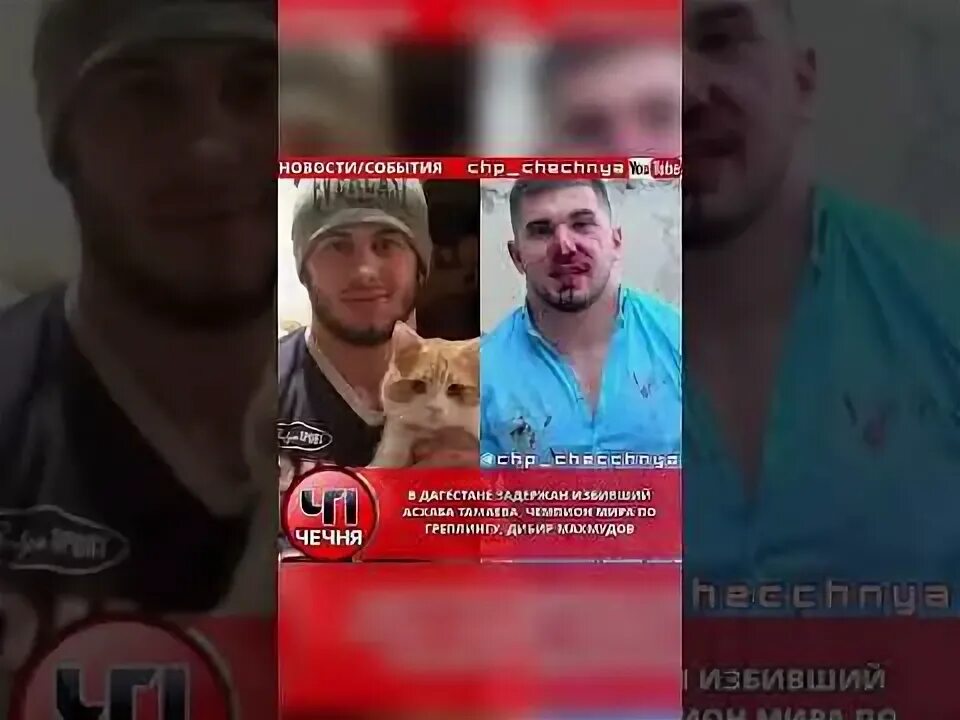 Асхаб тамаев. Асхаб тамаев блоггер. Дибир тамаев. Асхаб тамаев. Асхаб тамаев.