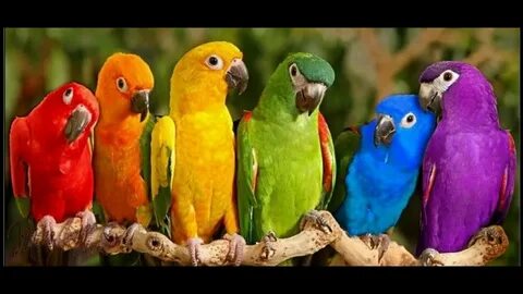 Қыздың кискасының фотосы