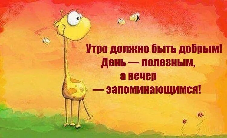 Фраза доброго дня