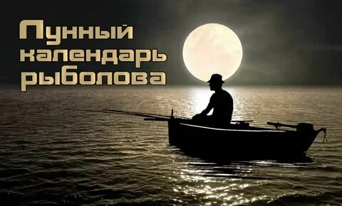 Лунный календарь на август рыбака 2024 года