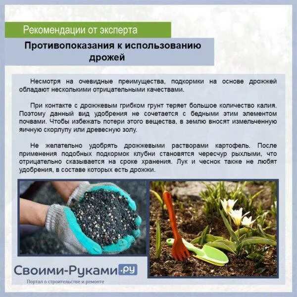 Как развести дрожжи для томатов. Дрожжевая подкормка для растений. дрожжи для удобрения растений. сухие дрожжи для подкормки растений. рецепт дрожжевой подкормки для рассады.