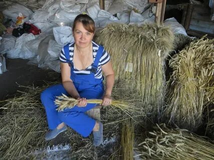 Работа в курской обл
