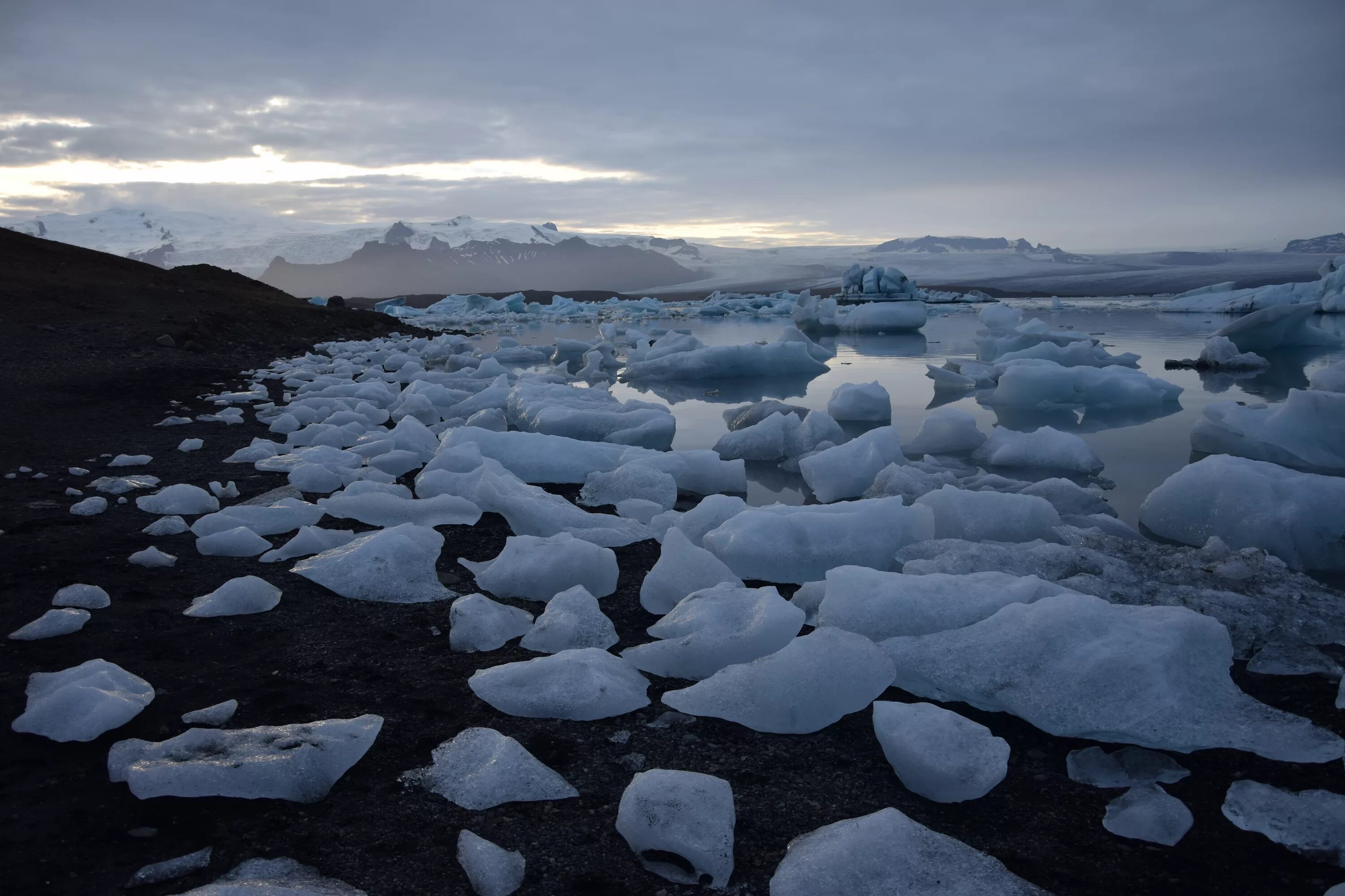 Arctic Tundra. Тундра и Северный Ледовитый океан. Тундра Ледовитый океан. Тундра на побережье Северного Ледовитого океана.