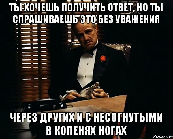 Хочу получить ответ