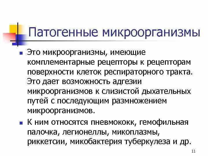 Условно патогенная микрофлора это. К патогенные организмы относятся. Патогенные микробы. Гепатогенные микробы это. Патогенные микроорганизмы.