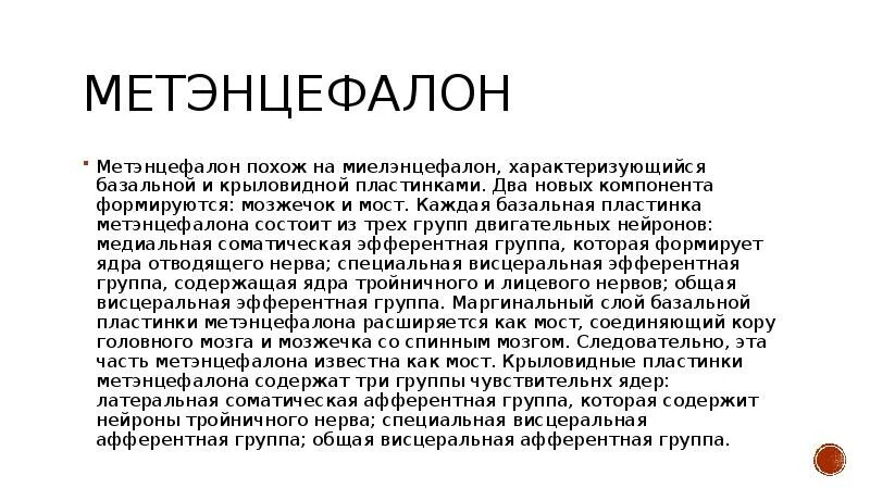Пороки развития нервной трубки виды. Прозэнцефалон. Дефекты нервной. Дефекты развития нервной трубки. Пороки развития нервной системы.