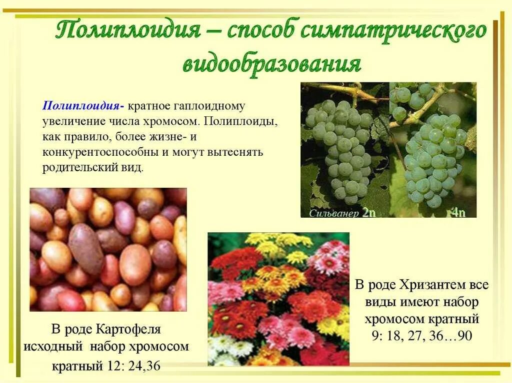 Функция селекции