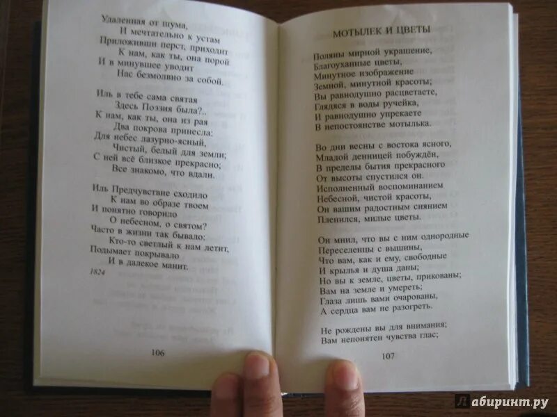 Стихотворение Жуковского цветок. Ты заново родился стихотворение. Заново родившийся стих. Книга стихов я родился