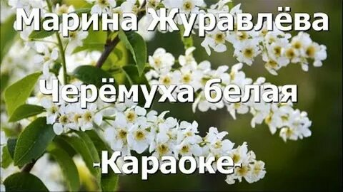 Караоке ах черемуха