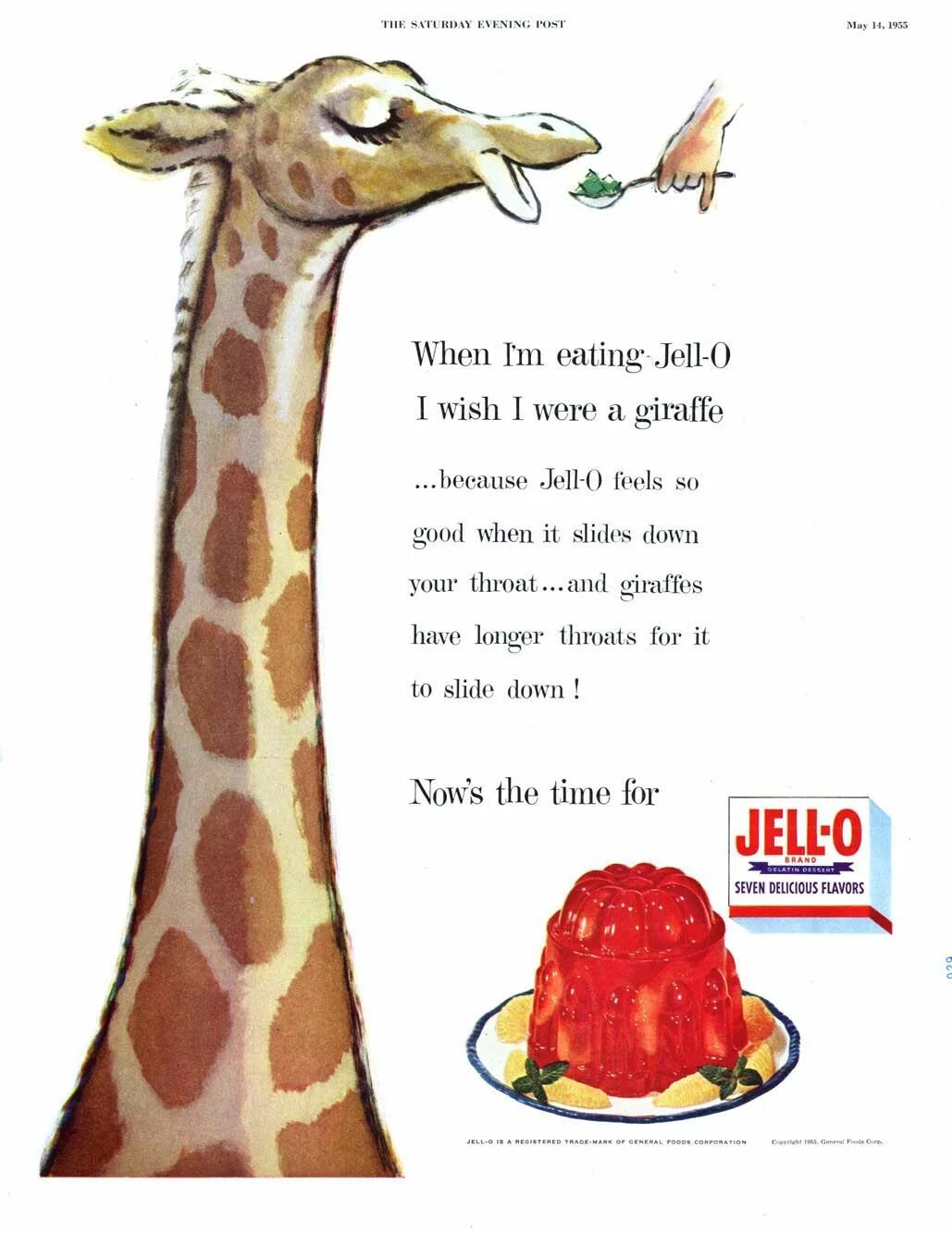 Giraffes are thin than hippos