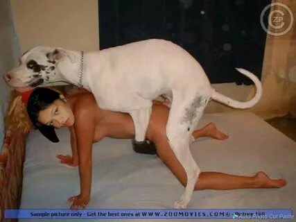 Women having sex with dogs - sys.dogsuniverse.info.
