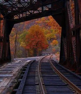 Трек fall