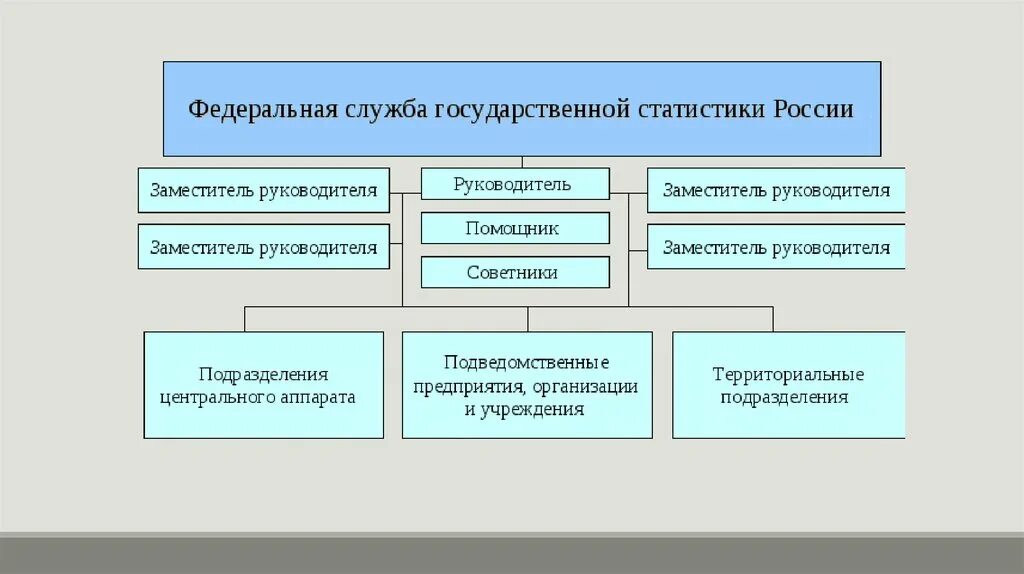 Территориальная служба государственной статистики. Структура органов государственной статистики. система государственной статистики в россии. схема государственной статистики рф. структура росстата.
