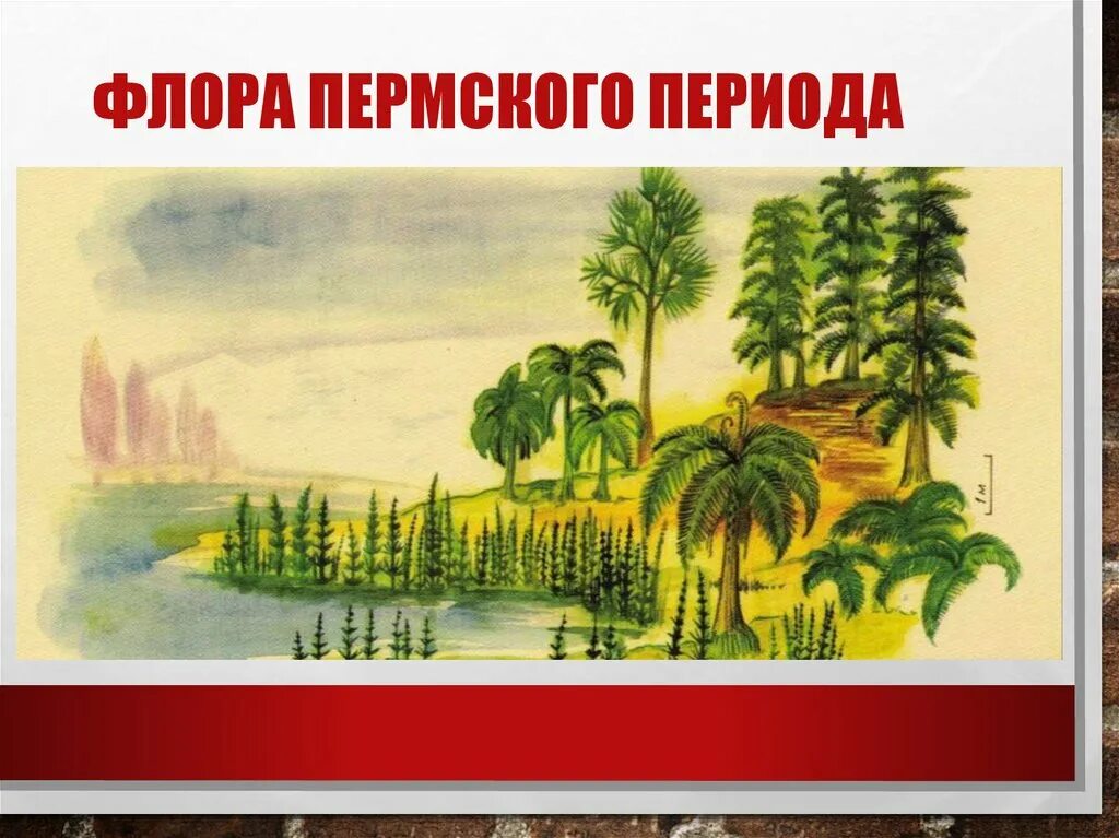 Какое отношение пермский период имеет городу пермь. Флора пермского периода. пермский период растения таблица. растения пермского периода презентация. пермский период флора и фауна таблица.
