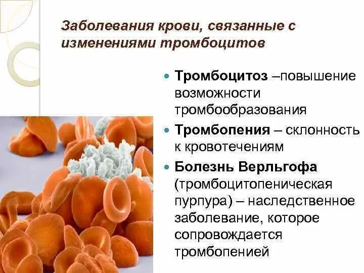 Заболевание повышены тромбоциты