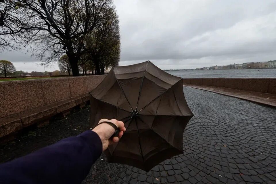 Сильный ветер в петербурге сегодня. Сильный ветер. сильный ветер в санкт-петербурге. штормовой ветер. ветер в спб 24 мая.
