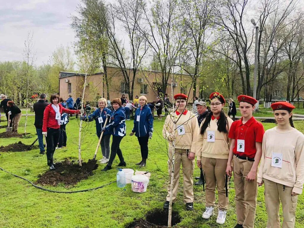 сад памяти международная акция логотип. интернациональный детский сад. сад памяти бирка. сад памяти. международная акция сад памяти.