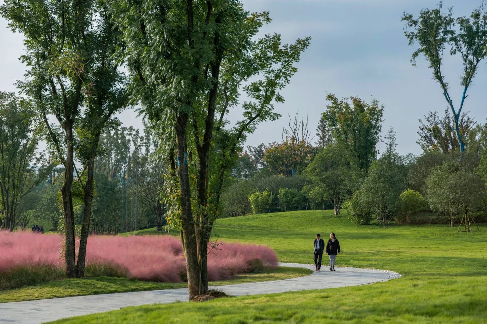 Национальные парки архитектура. Микрорайон куркино москва. Парк куркино. Use park. Mixed use.