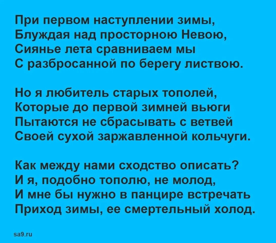 Можжевеловый куст заболотский. Н Заболоцкий стихи. Заболоцкий стиль. Заболоцкий н. "стихотворения".